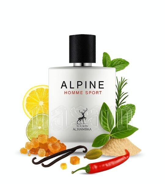 Alpine Homme Sport Maison Alhambra